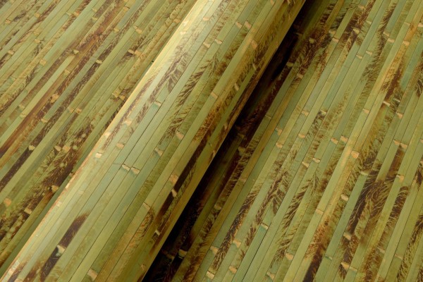 Bambus Wandverkleidung - Exotischer Rollbelag aus echten Bambuslatten