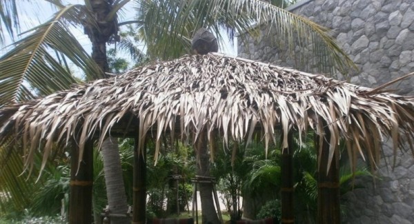 Palmendach 120 x 60 cm - Natur Dachschindel aus Palmenblätter