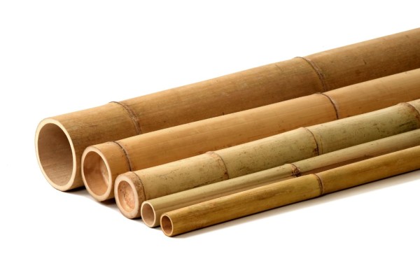 Bambusrohr - Bambusstangen in vielen verschiedenen Größen