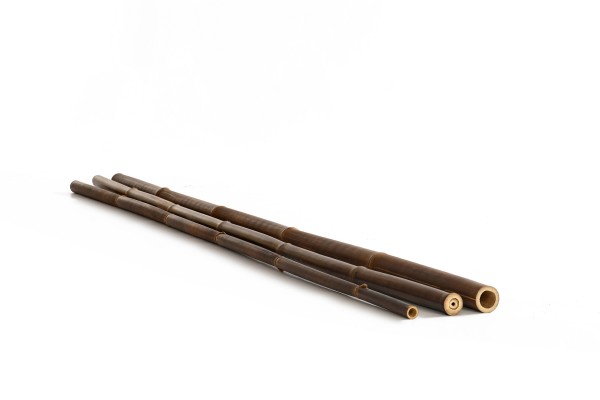 Bambusrohr Black Asper - Bambusstangen schwarz Bambus Holz Rohre