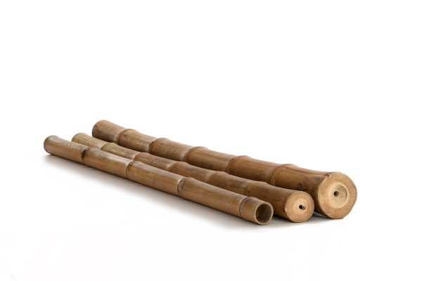 Bambusrohr Moso - Robust, Langlebig und Perfekt für jedes Bauvorhaben